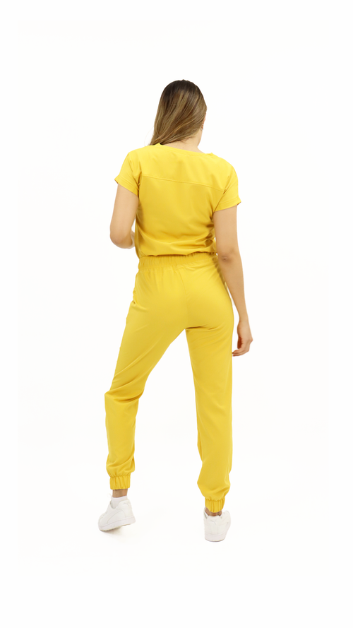 CARDENAL AMARILLO ANTIFLUIDO