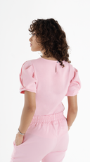 CANARIO ROSA PASTEL