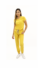 CARDENAL AMARILLO ANTIFLUIDO