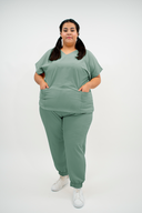 CARDENAL OLIVO ANTIFLUIDO