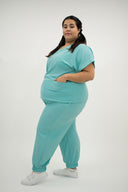 CARDENAL MENTA ANTIFLUIDO