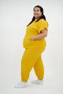 CARDENAL AMARILLO ANTIFLUIDO