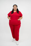 CARDENAL ROJO ANTIFLUIDO