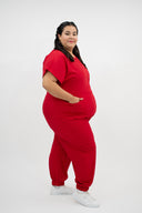 CARDENAL ROJO ANTIFLUIDO